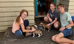 Foster Family
